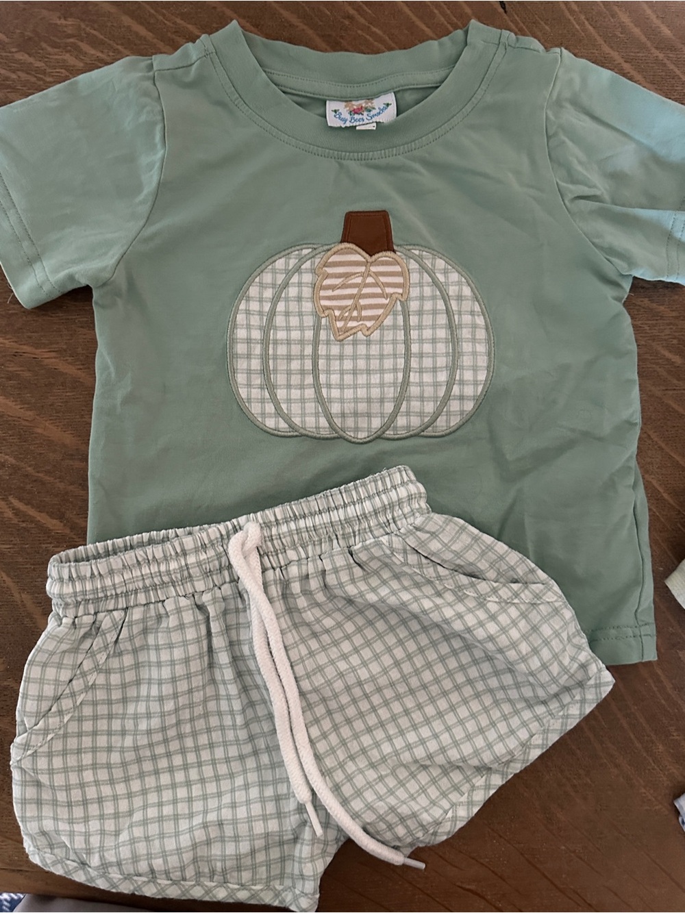 Kids Sage Green Pumpkin Appliqué Pajama Set